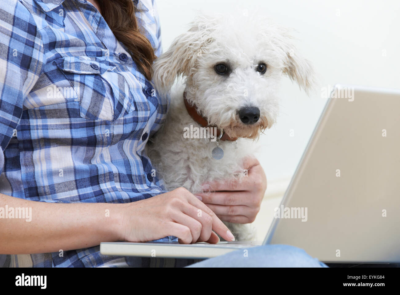 Chien assis à côté de propriétaire à l'aide du coffre Banque D'Images