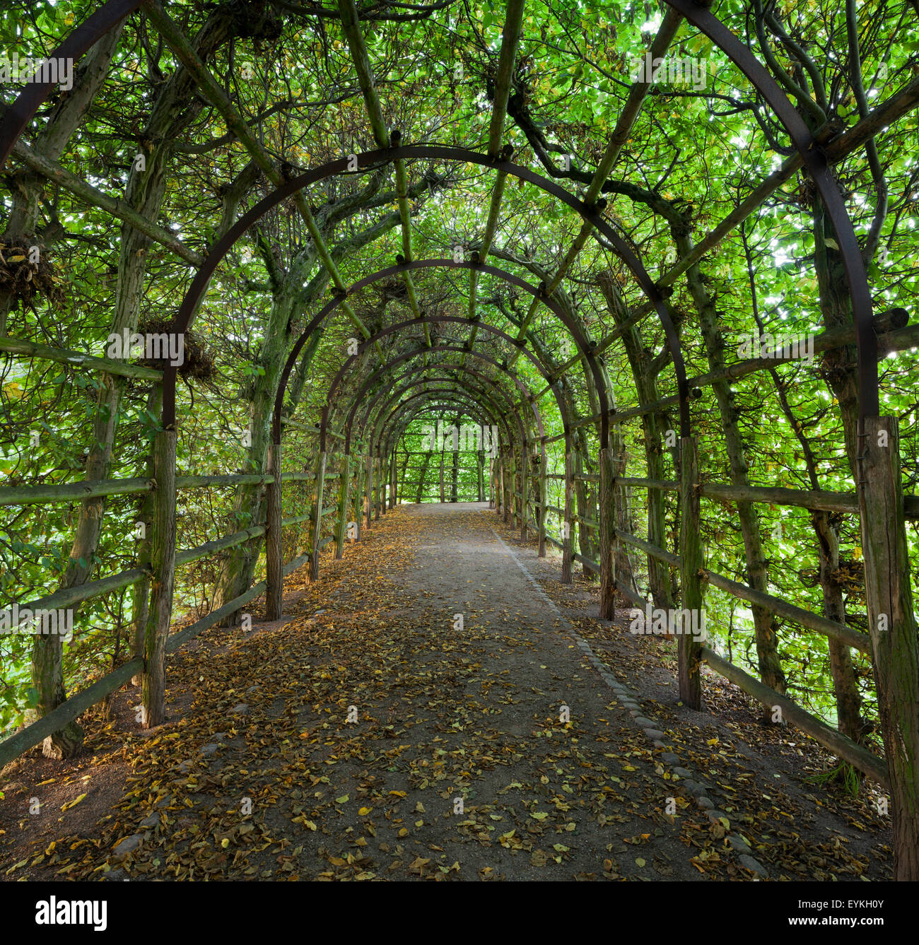 Parc du château de Schwerin, Schleswig-Holstein, Allemagne Banque D'Images
