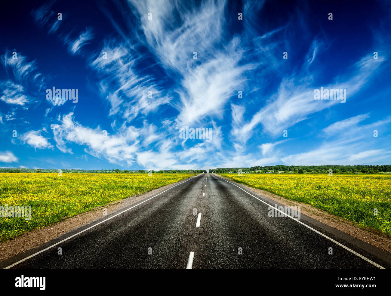 Travel concept contexte - road dans blooming spring meadow Banque D'Images