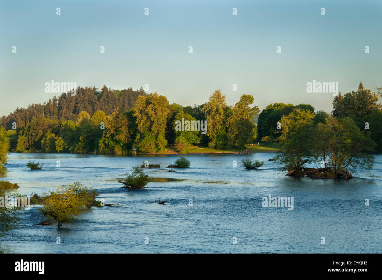 La rivière Willamette, Greenway et Skinner Butte Park, Eugene, Oregon. Banque D'Images