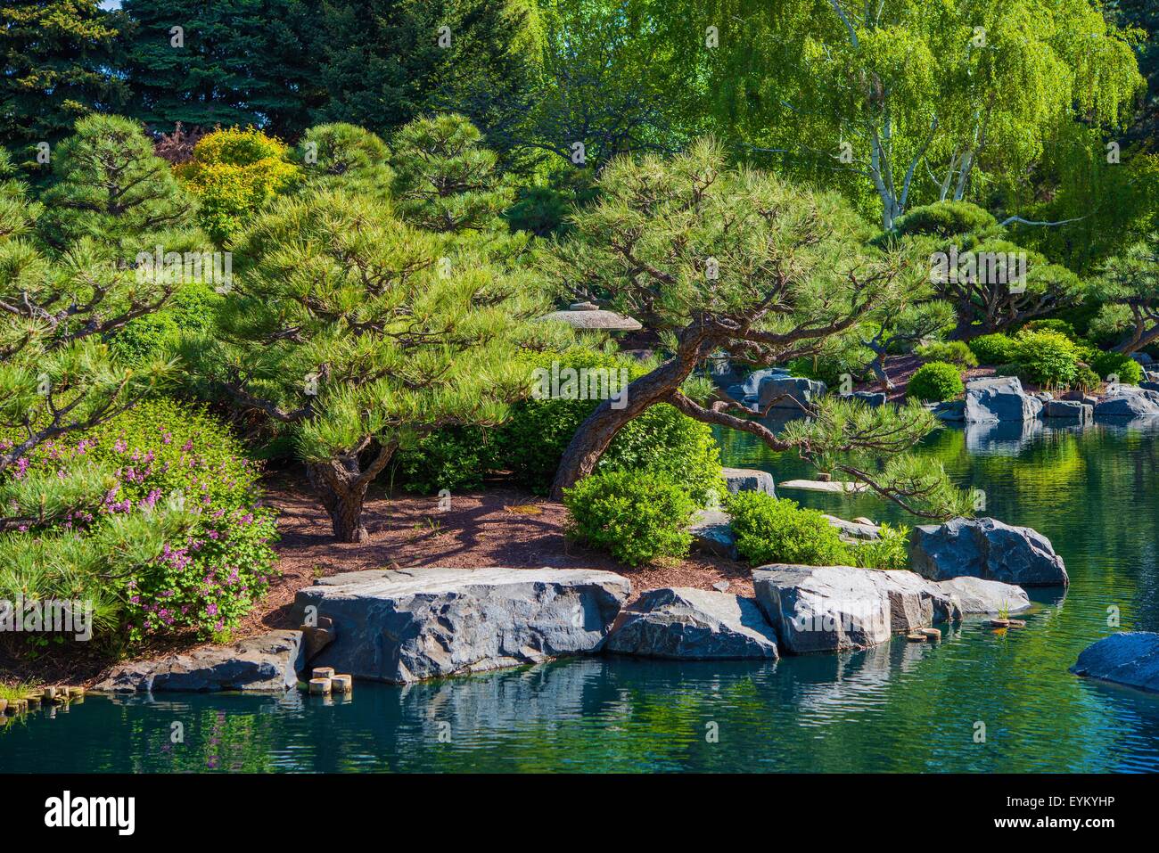 Grand jardin de rocaille et l'étang. La Végétation L'été. Jardin japonais. Banque D'Images
