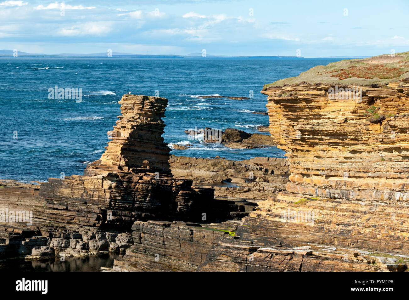 Tour o'Men o'Mey, pile de la mer à St. John's point, sur la côte nord de Caithness, Écosse, Royaume-Uni. Banque D'Images