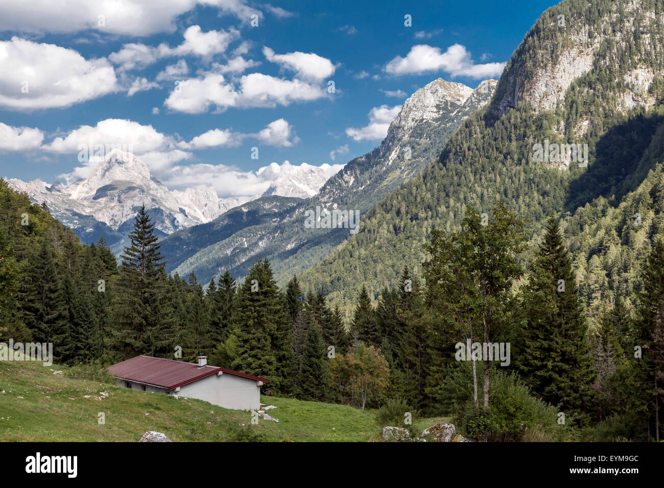 Sella Nevea im Raccolanatal, Julische Alpen Banque D'Images