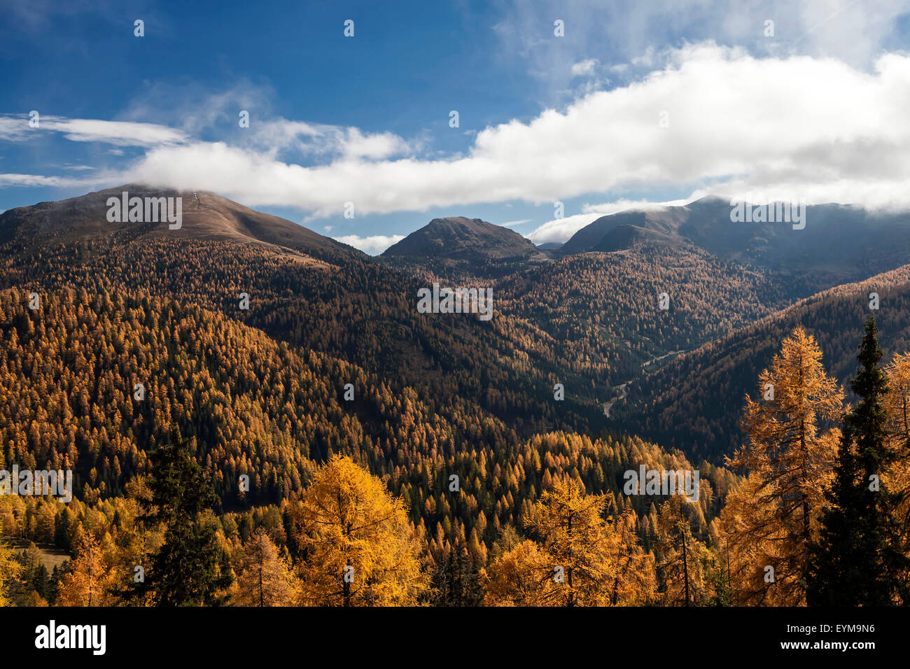 Herbst im Nationalpark Nockberge, Kärnten, Autriche Banque D'Images