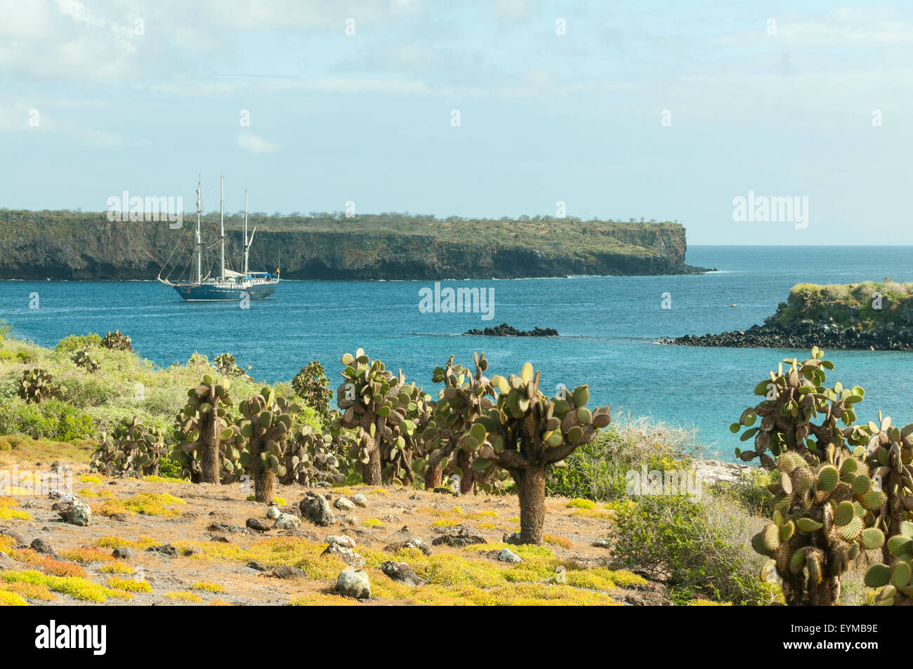 L'île South Plaza, îles Galapagos, Equateur Banque D'Images