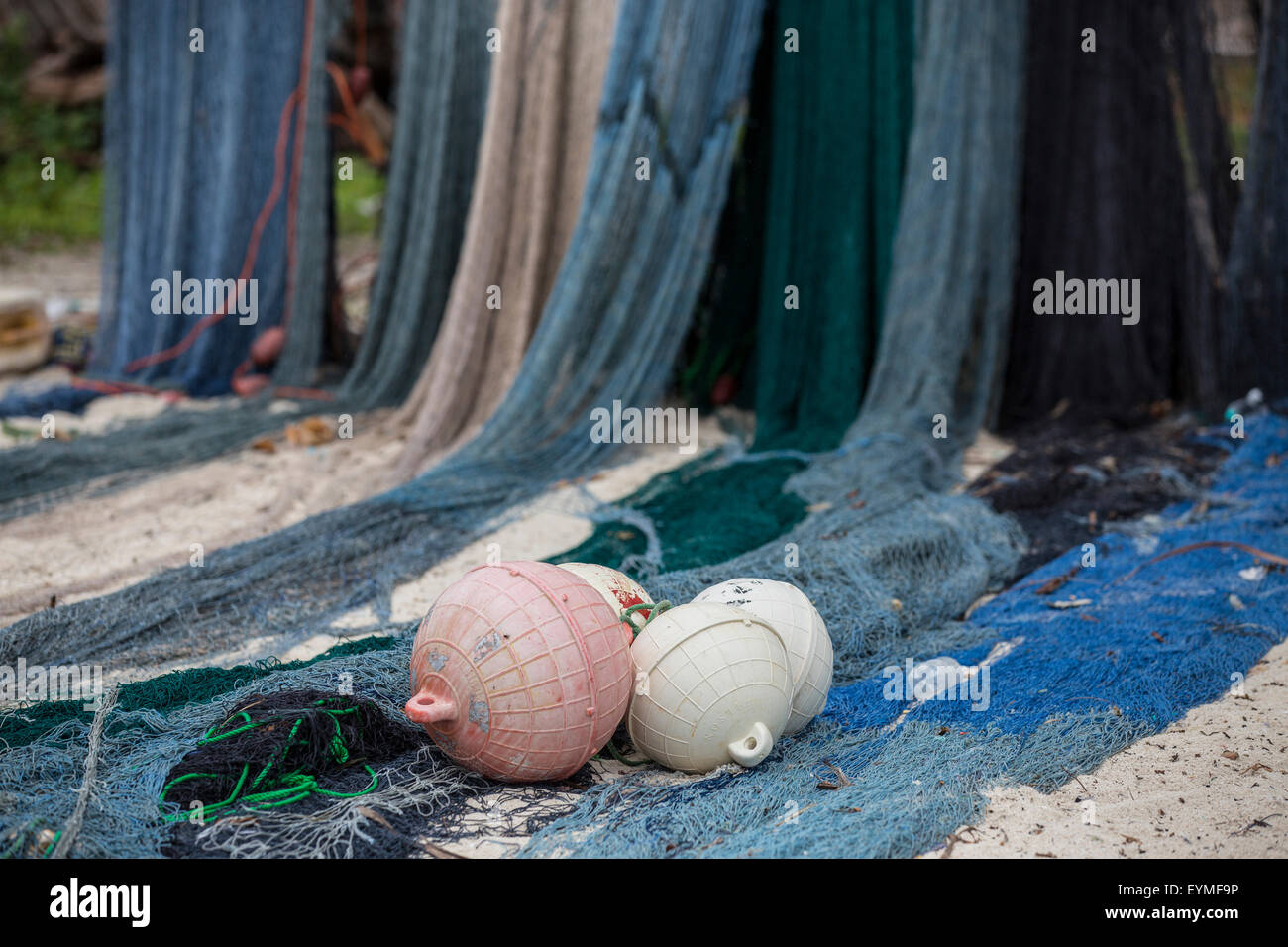 La Tanzanie, Zanzibar, plage, filets de pêche, Banque D'Images