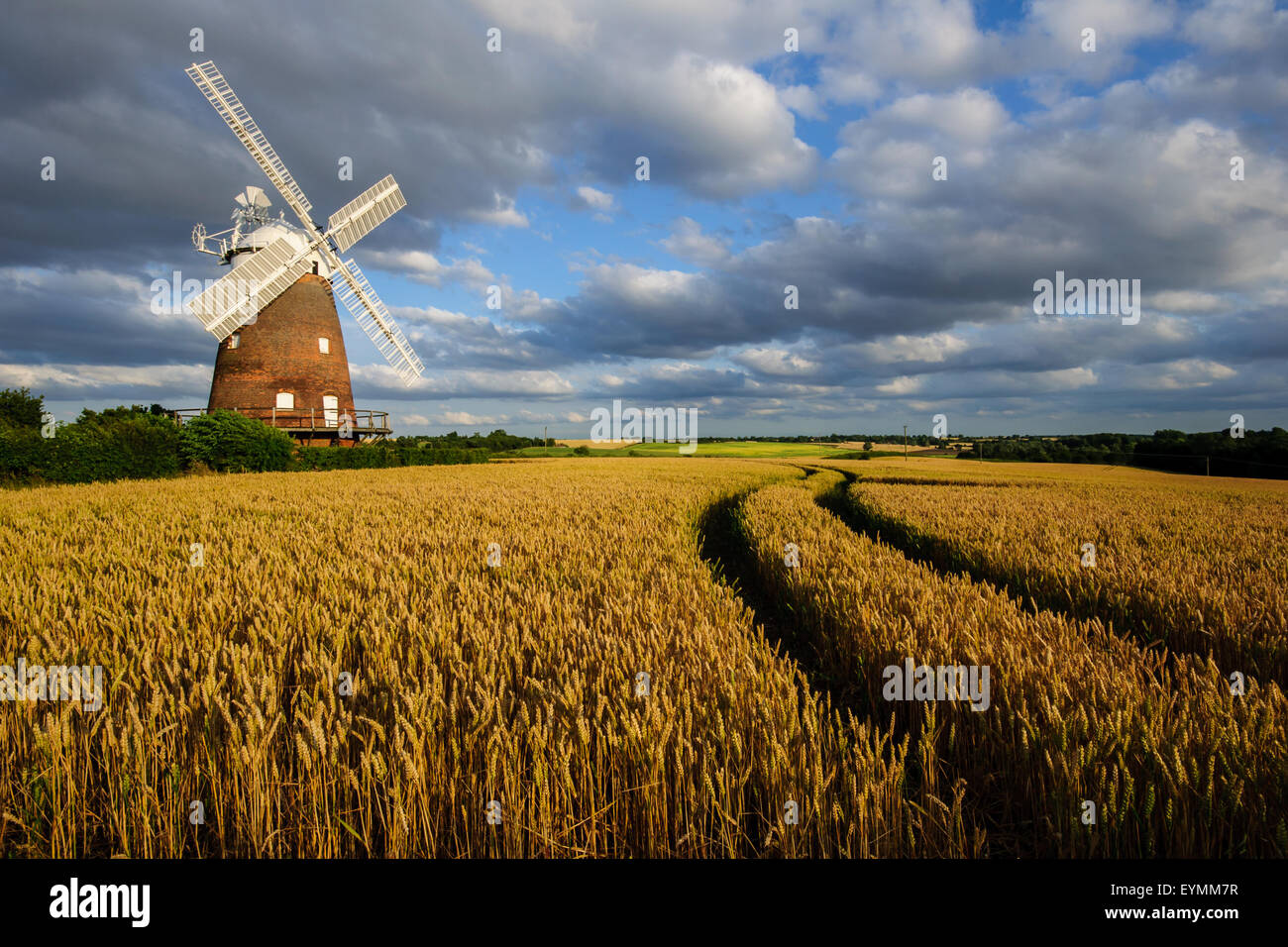 Thaxted Moulin, Essex, Angleterre, Royaume-Uni Banque D'Images