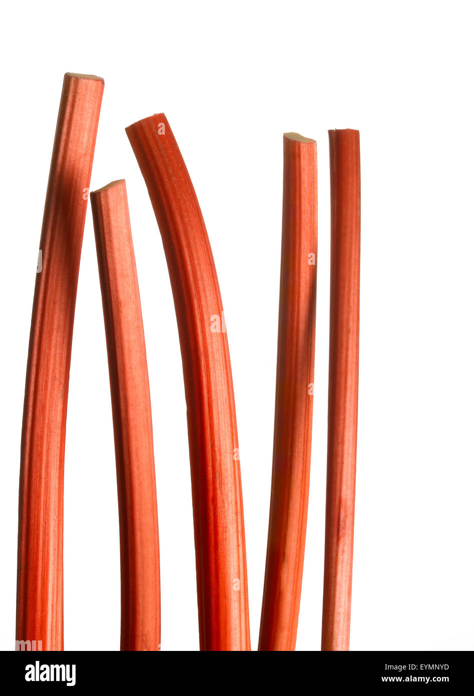 Les bâtonnets de rhubarbe on white Banque D'Images
