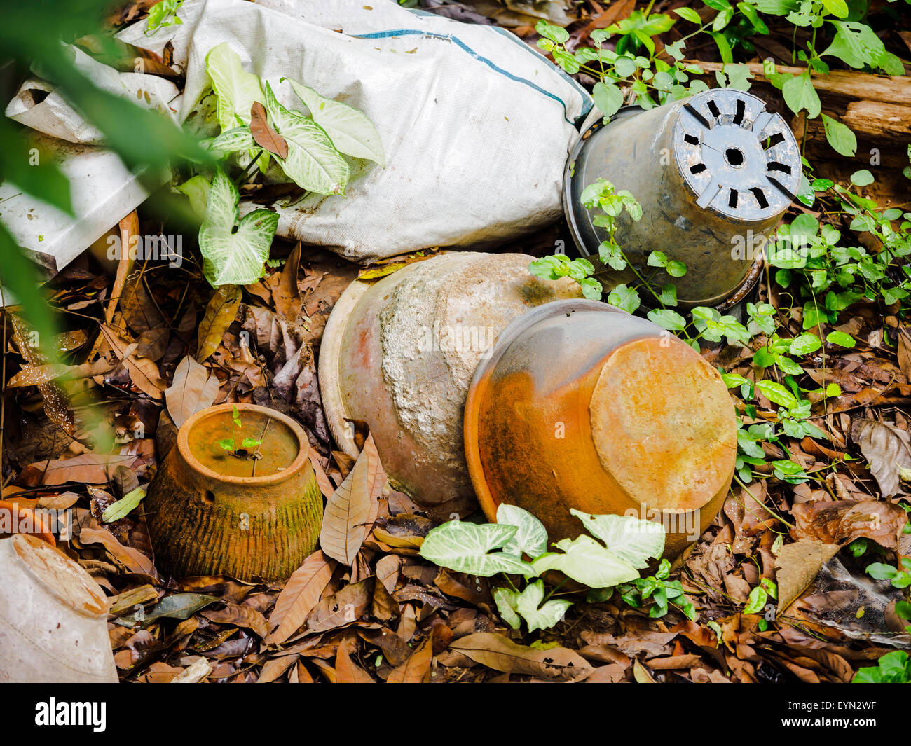 Vieux pots de laisser sur le terrain Banque D'Images