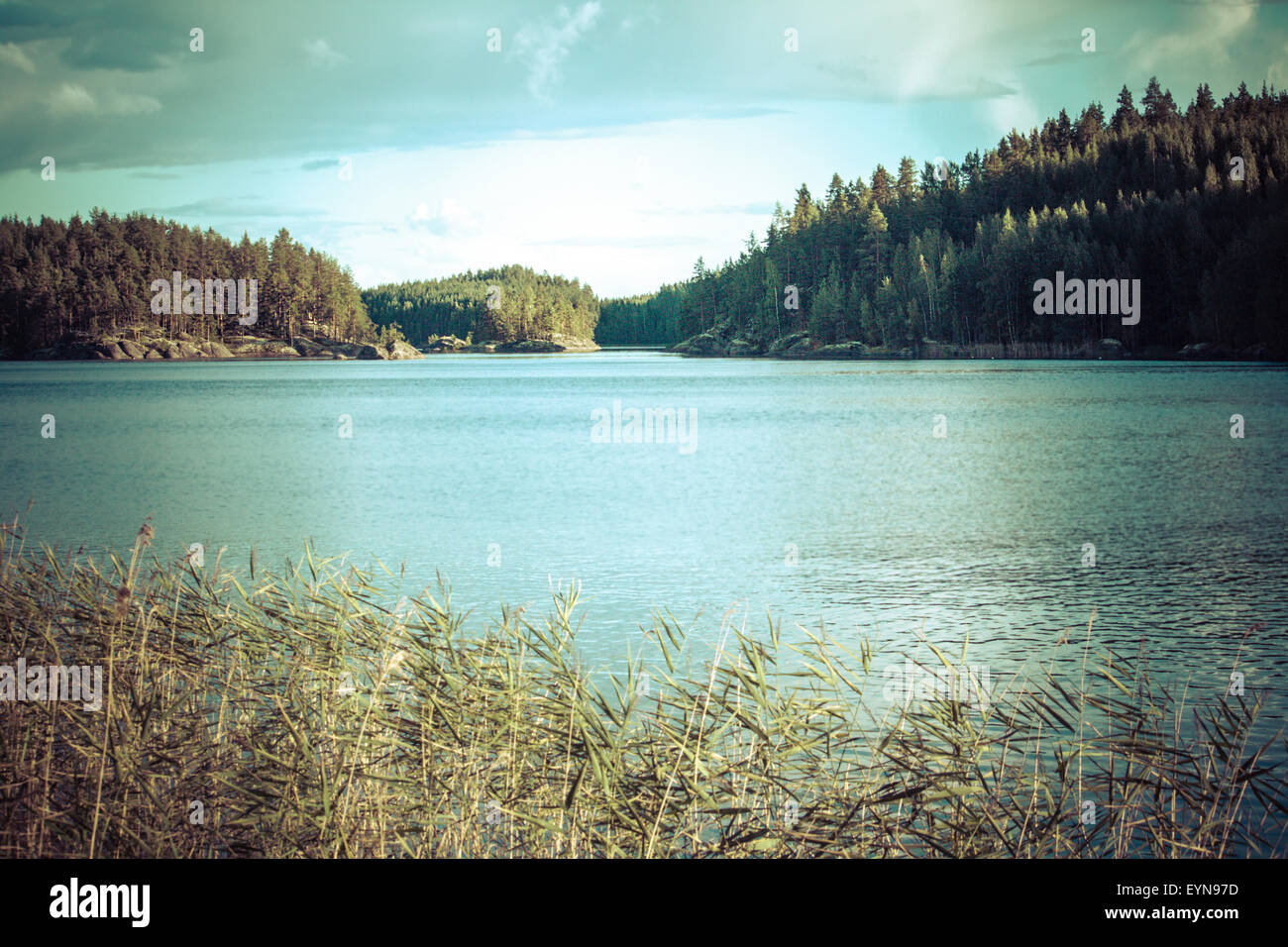 Tons Vintage image de lac et forêt, la Finlande Banque D'Images