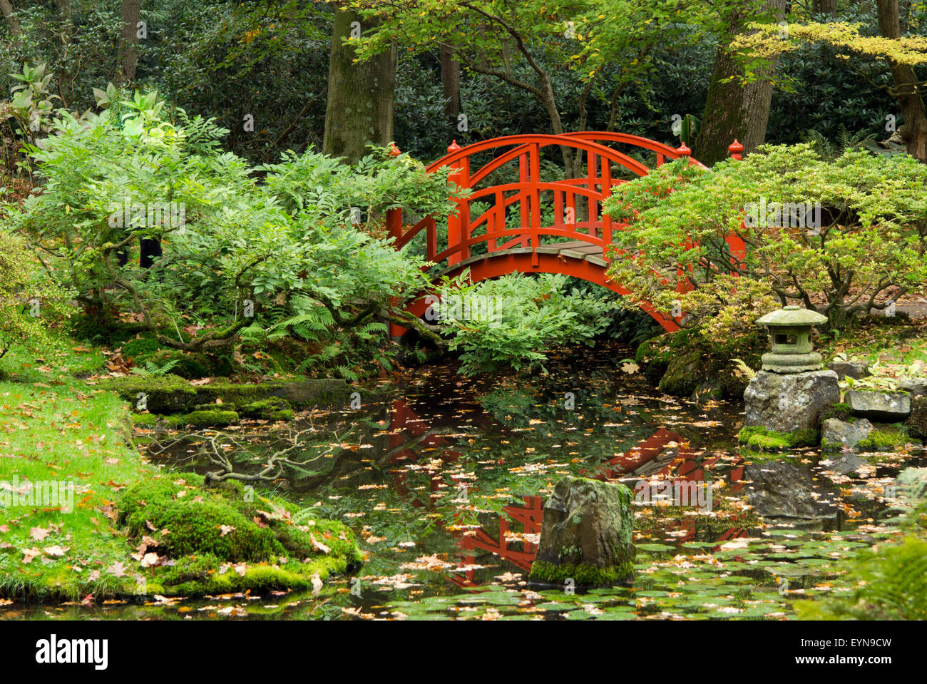 Pont Rouge dans le jardin japonais, La Haye, Parc Clingendael, aux Pays-Bas. Banque D'Images