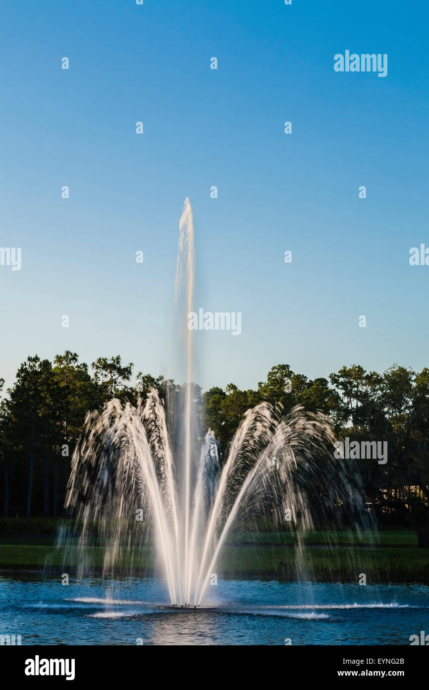 Fontaine de l'étang de l'eau comme écran. Wesley Chapel, Floride Banque D'Images