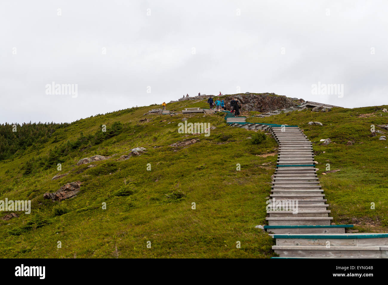 Le sentier Skyline à Cape Breton Highlands National Park, Cabot Trail, Banque D'Images