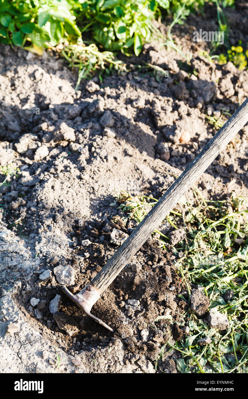 Creusement de lit de jardin en helicoptère en été Banque D'Images