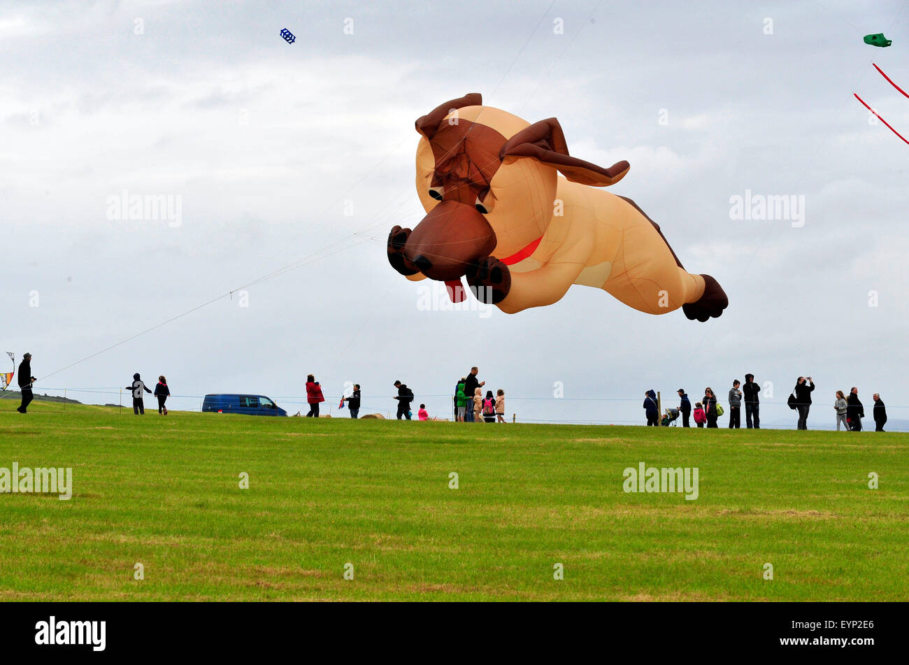 Downhill Demesne Kite Festival, le comté de Londonderry, Irlande du Nord, Royaume-Uni. 2 Août, 2015. La fusion de l'équipe de Kite, de la nord-ouest de l'Angleterre, offre une exposition de cerfs-volants, avec un tableau de figures d'animaux, à la descente Demesne Kite Festival à la propriété du National Trust, Castlerock dans comté de Derry. Crédit : George Sweeney / Alamy Live News Banque D'Images