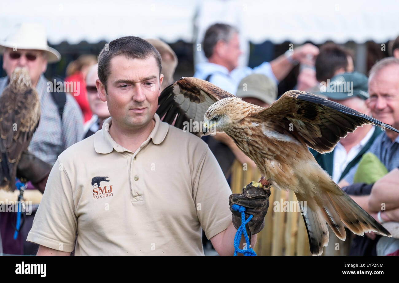 CLA Game Fair 2015 Harewood Banque D'Images