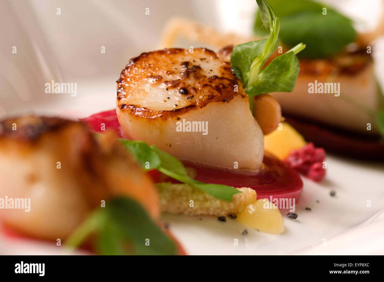 Le restaurant Riverside,West Bay, Dorset, UK,une station restaurant spécialisé dans les fruits de mer,fine cuisine et vin. Un dîner de manger des aliments au Royaume-Uni Banque D'Images