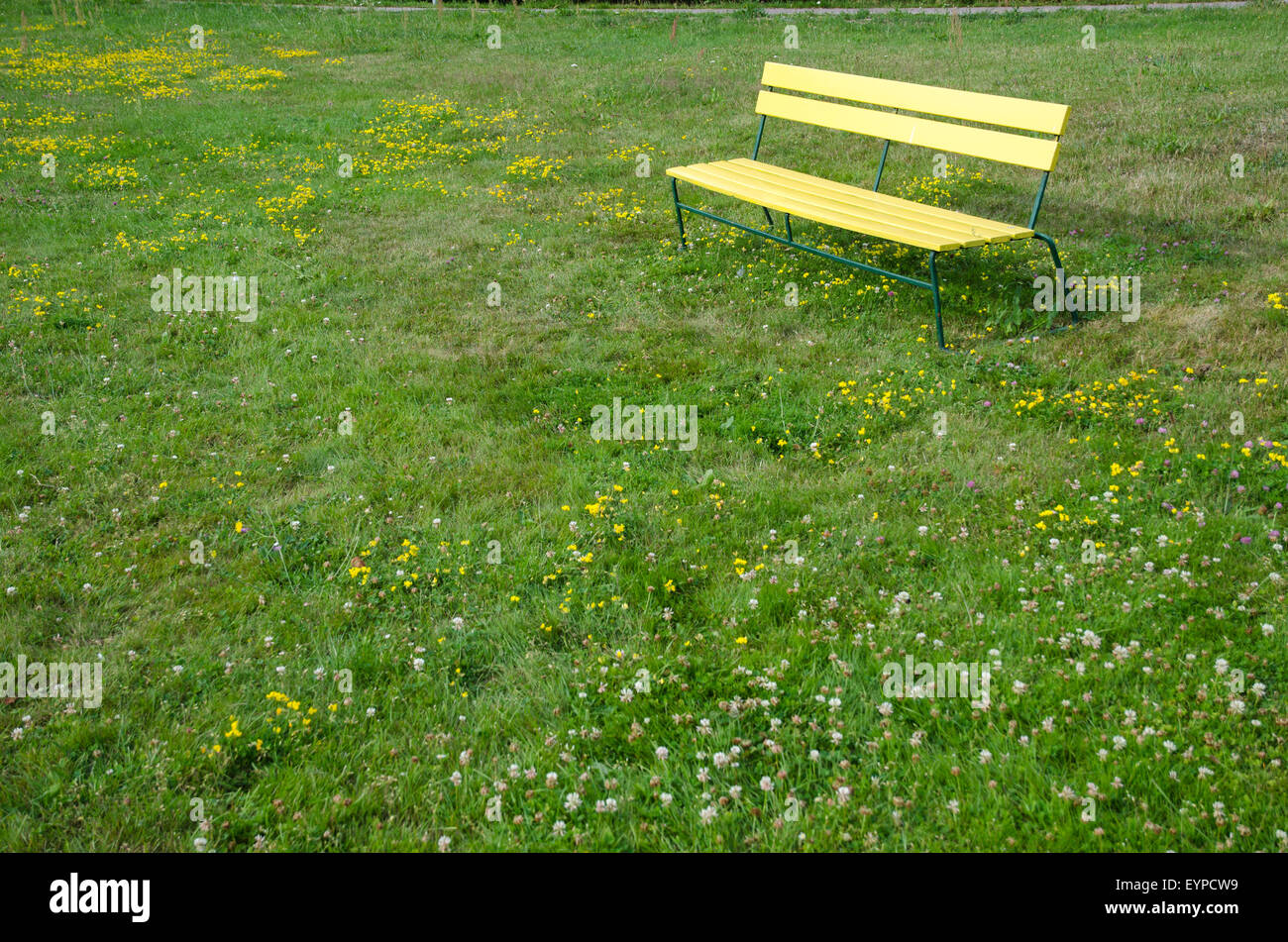 Banc jaune unique à une pelouse verte avec des fleurs Banque D'Images