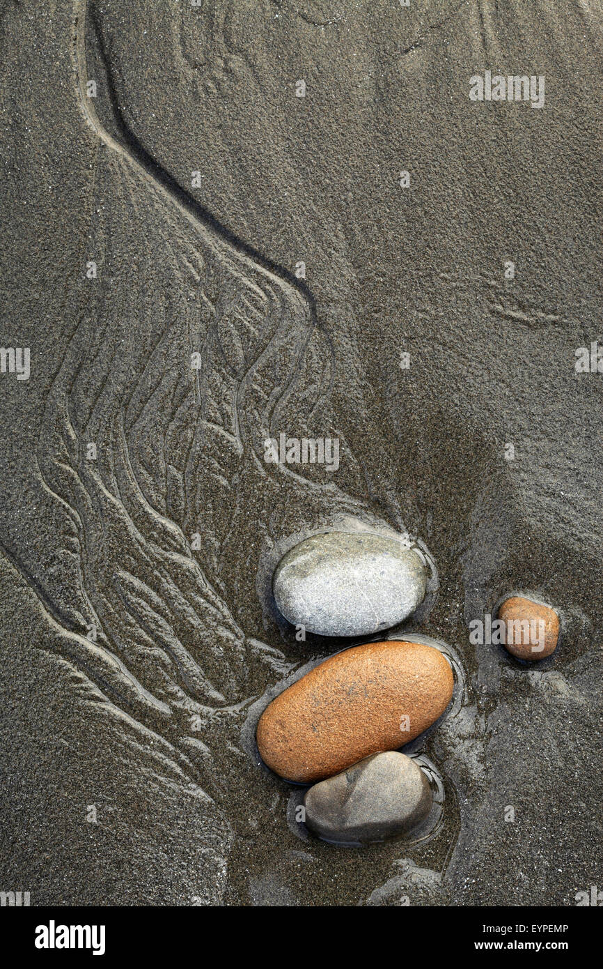 Les roches et tide runnels à marée basse sur Ruby Beach in Olympic National Park, Washington Banque D'Images