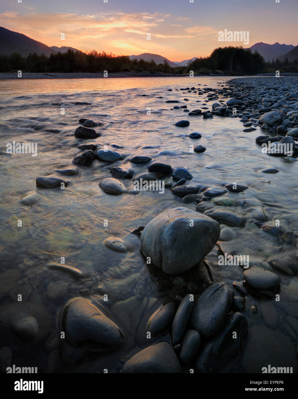 Lever du soleil sur la rivière Quinault dans Olympic National Park, Washington Banque D'Images