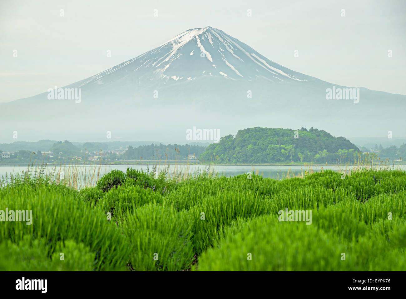 Le Mt Fuji au matin à kawaguchi, Japon Banque D'Images
