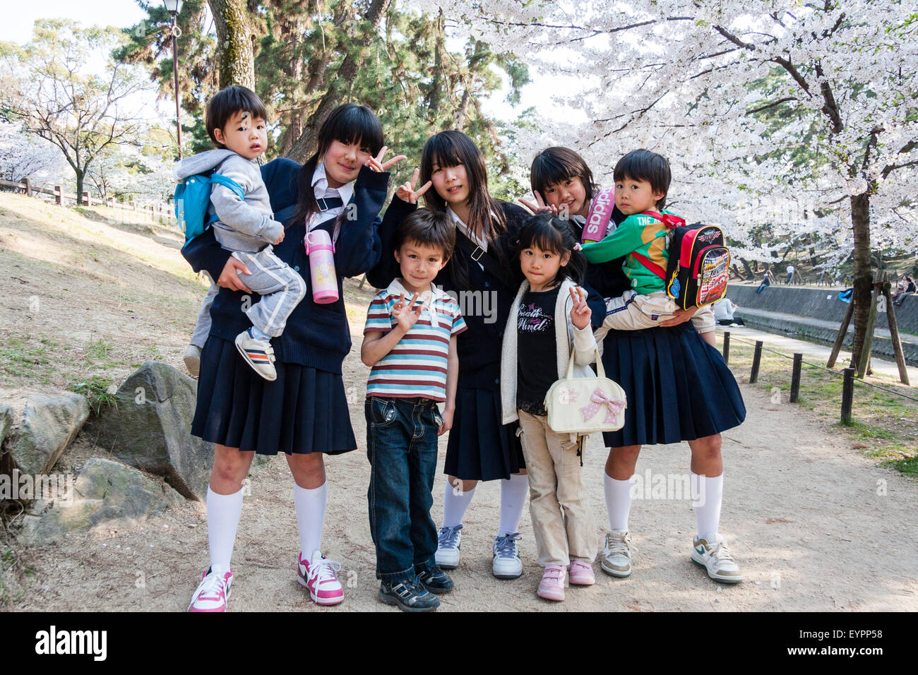 Japonais 3 jeunes filles du secondaire, avec chaque enfant plus jeune et posant avec Young boy, 7-8 ans, dans le parc sous les cerisiers en fleurs. Eye-contact. Banque D'Images
