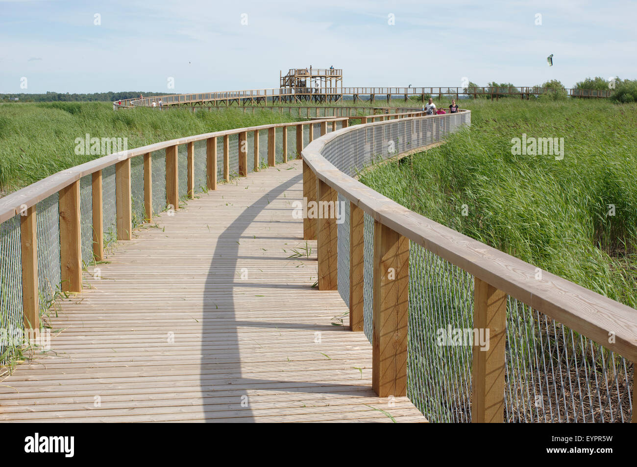 Tour d'observation d'oiseaux et de trail à Pärnu. 19 juillet, 2015 Banque D'Images