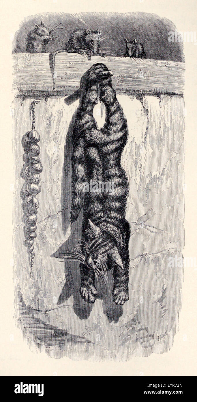 Le Chat Et Les Souris Fable D Esope Vers 600 Avant Jc Un Chat Se Fait Passer Pour Un Sac Suspendu A Une Patere Afin D Attraper Des Rats De Sorte Qu Ils Restent Sur Le Chat Et Les Souris Fable D Esope Vers 600 Avant Jc Un Chat Se Fait Passer Pour Un Sac Suspendu A Une Patere Afin D Attraper Des Rats De Sorte Qu Ils Restent Sur
