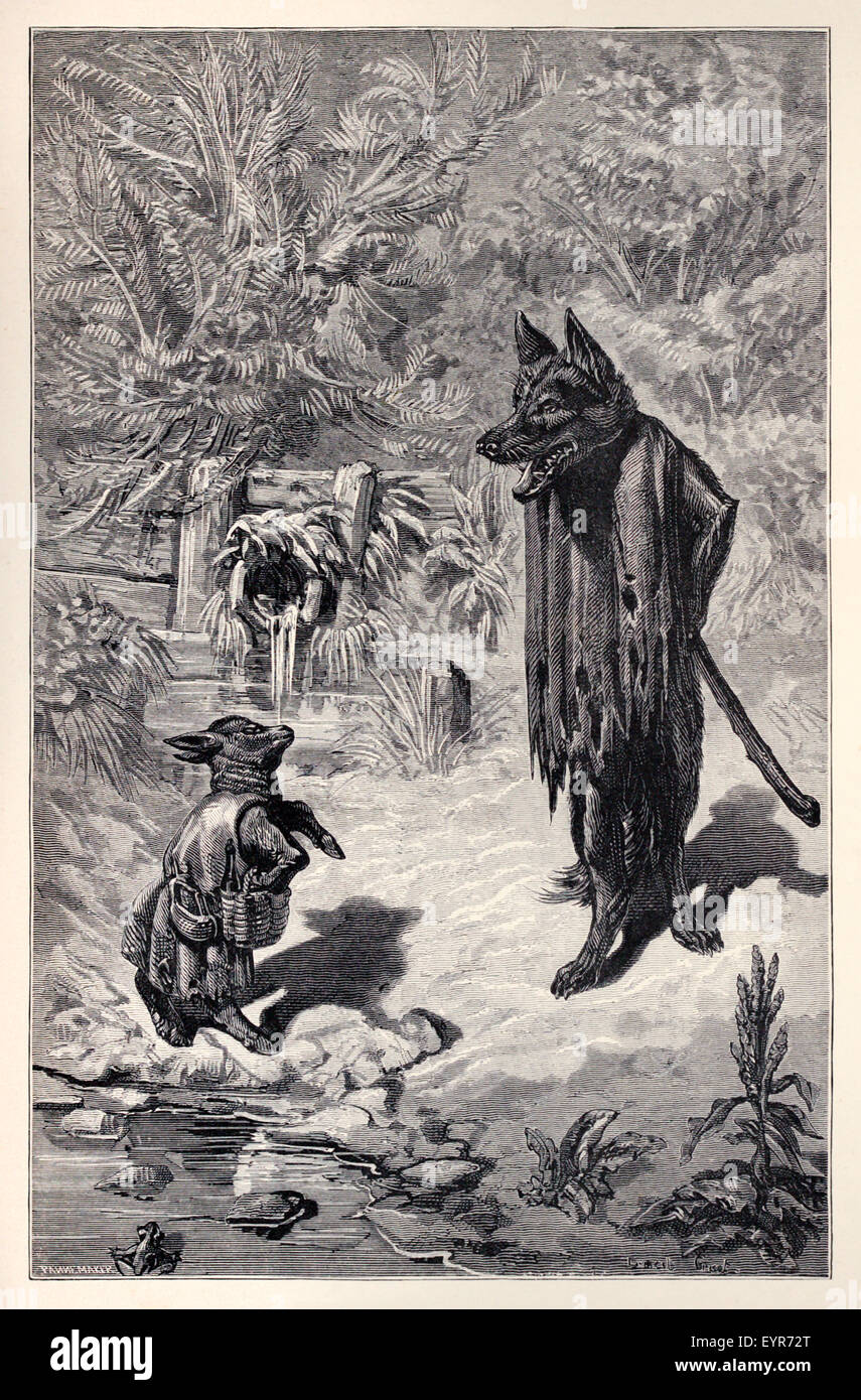 Le loup et l'agneau Banque de photographies et d’images à haute