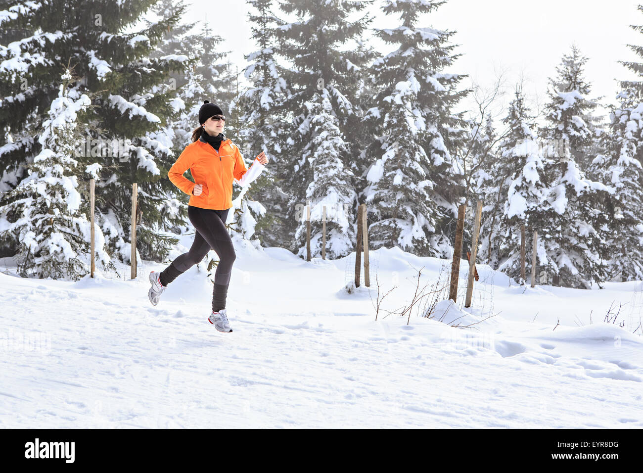 Une jeune femme le jogging dans la forêt d'hiver Banque D'Images
