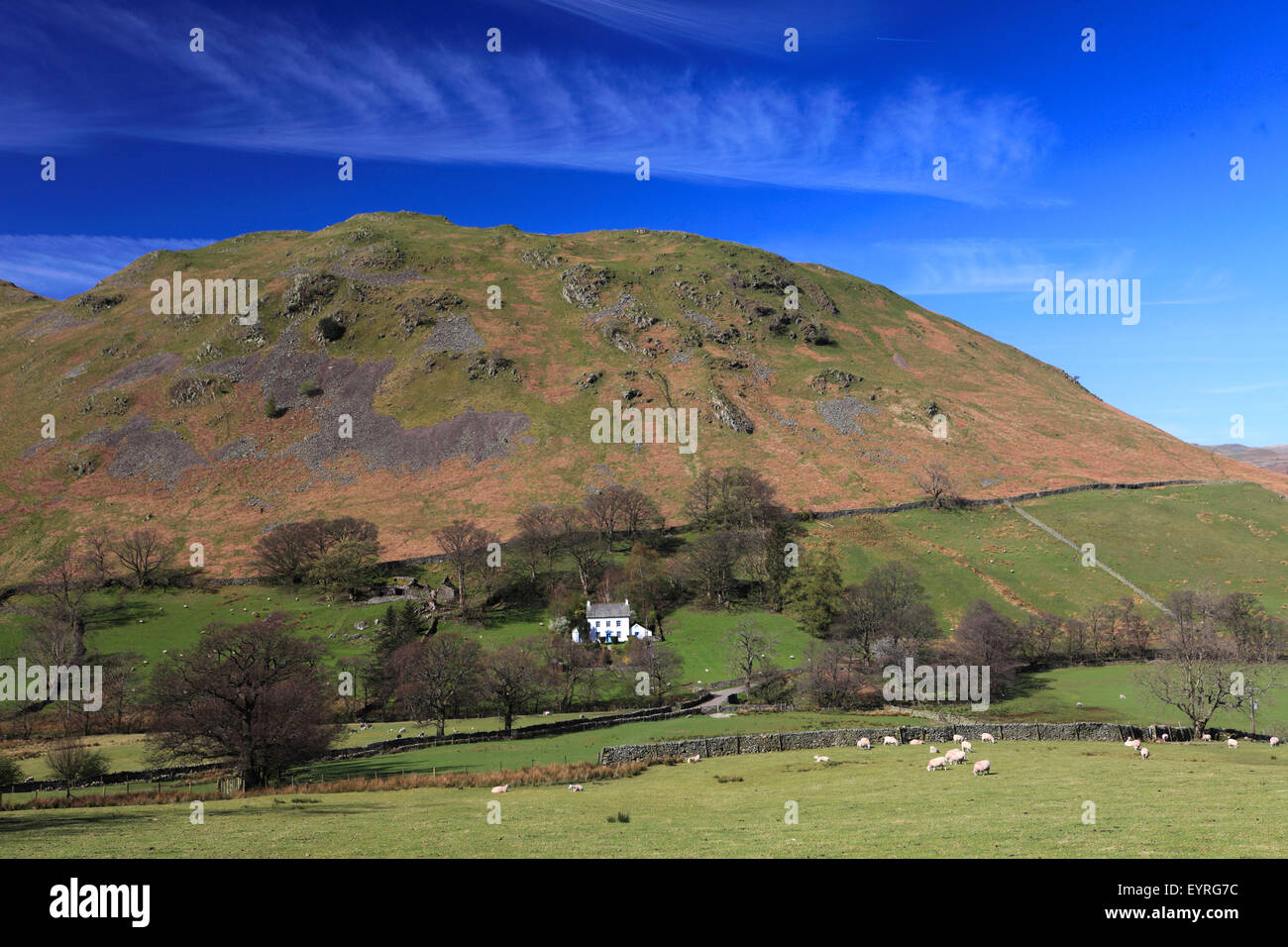 Le grésil est tombé, Boredale valley, Parc National de Lake district, comté de Cumbria, Angleterre, Royaume-Uni. Banque D'Images