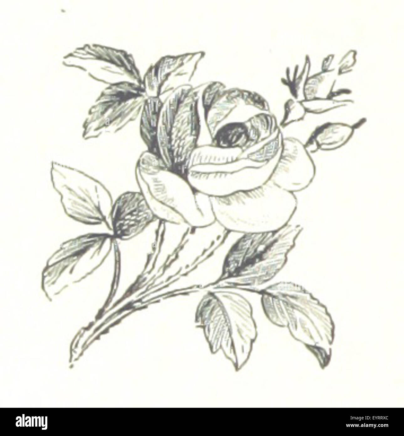 Photographie de la page 14 de « Shakespeare's England », illustrant des aspects importants de l'Angleterre à l'époque de Shakespeare, mettant en évidence les lieux clés et les monuments culturels. Banque D'Images