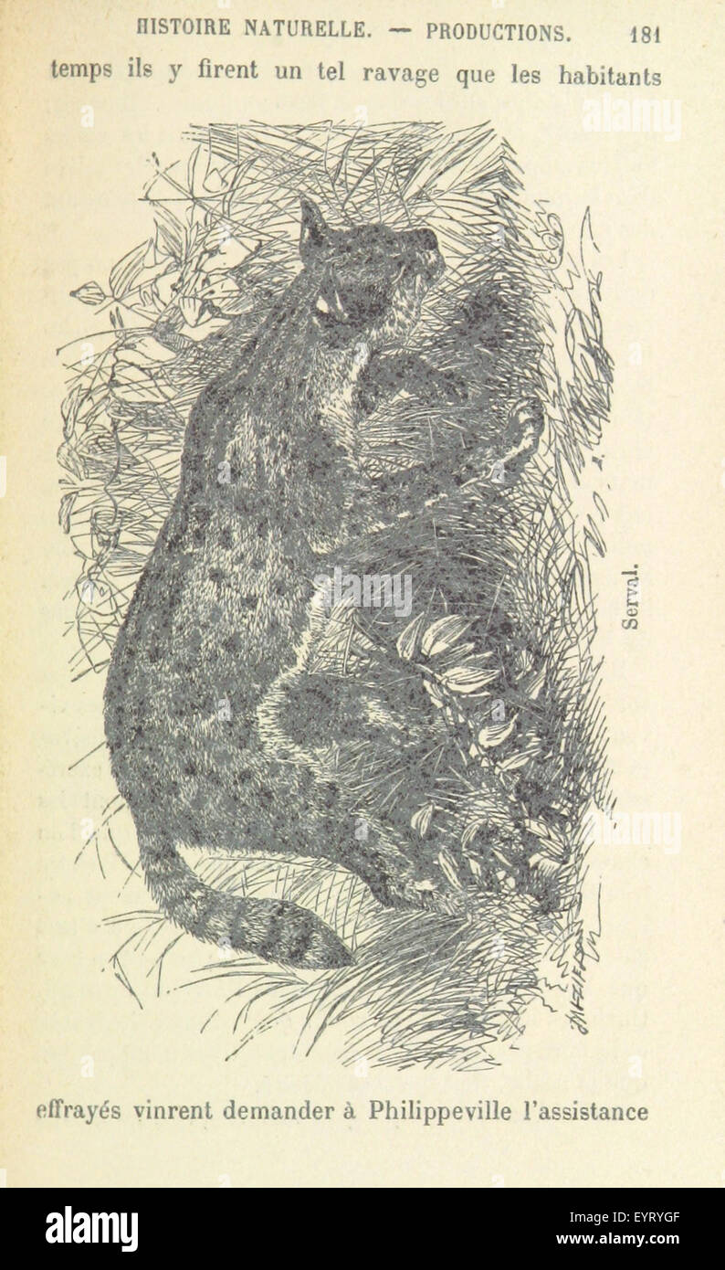 Cette image de la page 195 de 'L'algerie ouvrage illustre' représente probablement une scène, une carte ou une illustration liée à l'Algérie, mettant en valeur sa géographie, sa culture ou son contexte historique au XIXe siècle. Banque D'Images