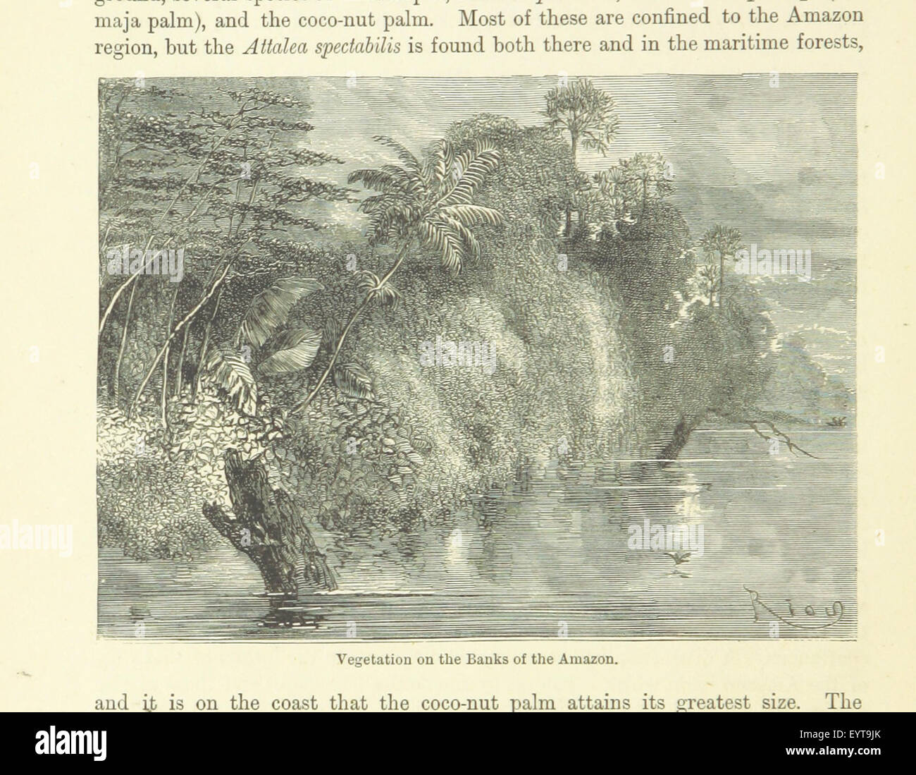 Illustration tirée des « deux hémisphères », offrant une vue globale des pays, des cultures et des caractéristiques géographiques du monde à travers les deux hémisphères. Banque D'Images