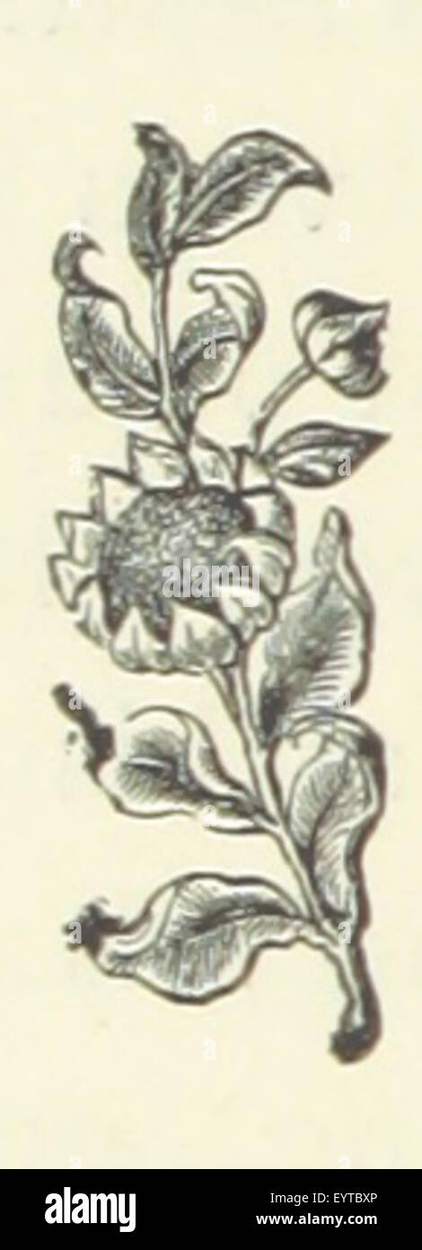 Une image tirée de « The Halletts », un roman décrivant la vie dans une ville de campagne, se concentrant probablement sur les personnages et les événements qui façonnent le récit de la vie dans une petite ville. Banque D'Images