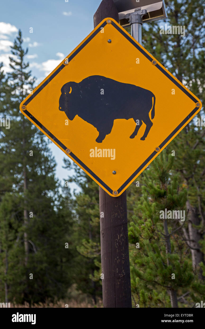 Le Parc National de Yellowstone, Wyoming - un signe met en garde les automobilistes à regarder pour le bison sur les routes du parc. Banque D'Images