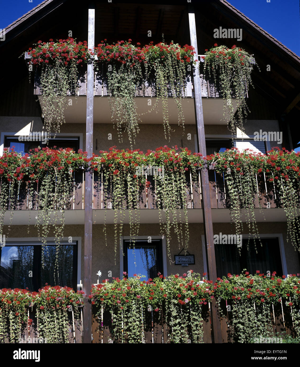 Hausbeguenung Blumenfenster, Banque D'Images