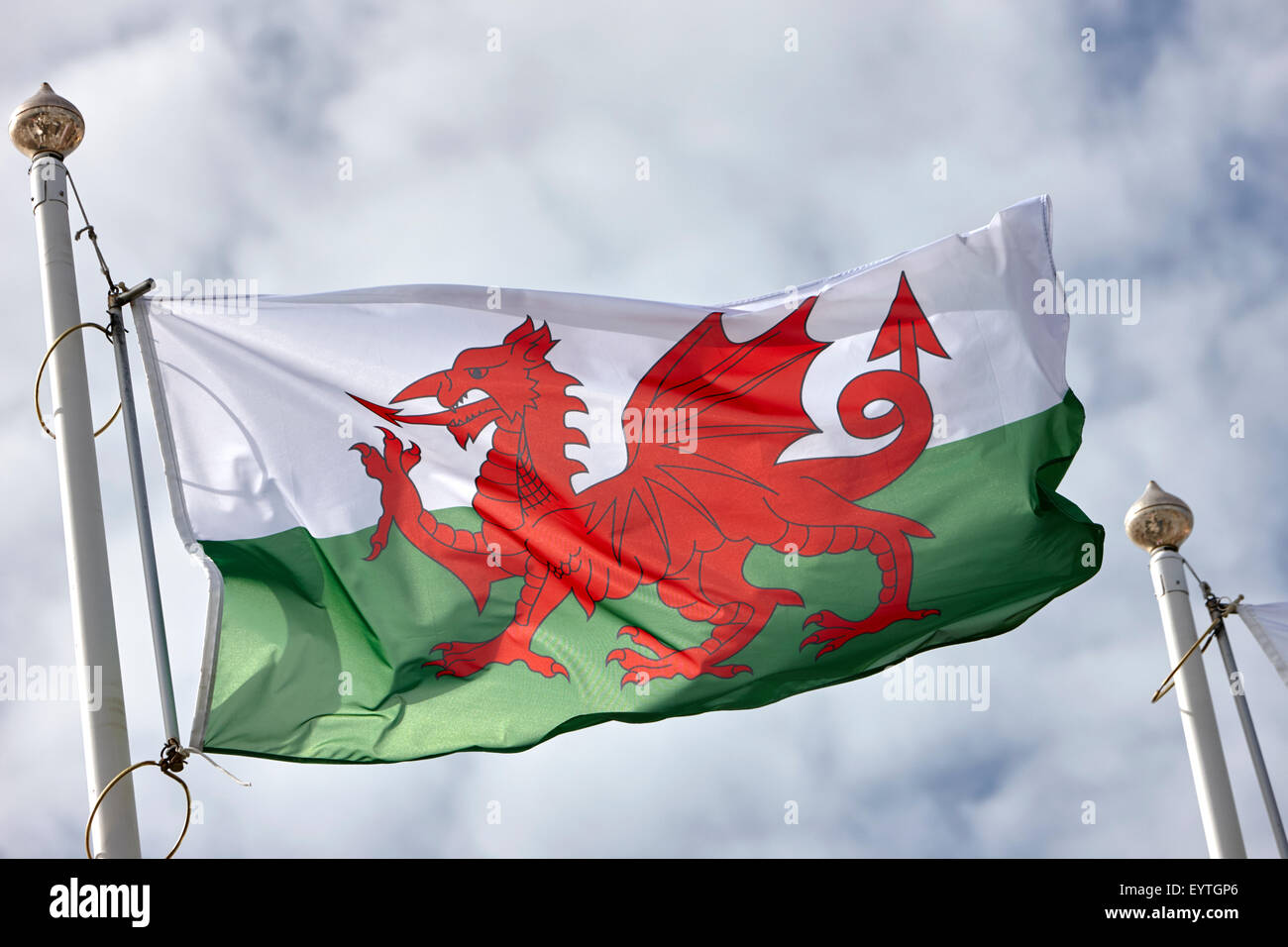 Le dragon rouge, le drapeau national du pays de Galles Banque D'Images