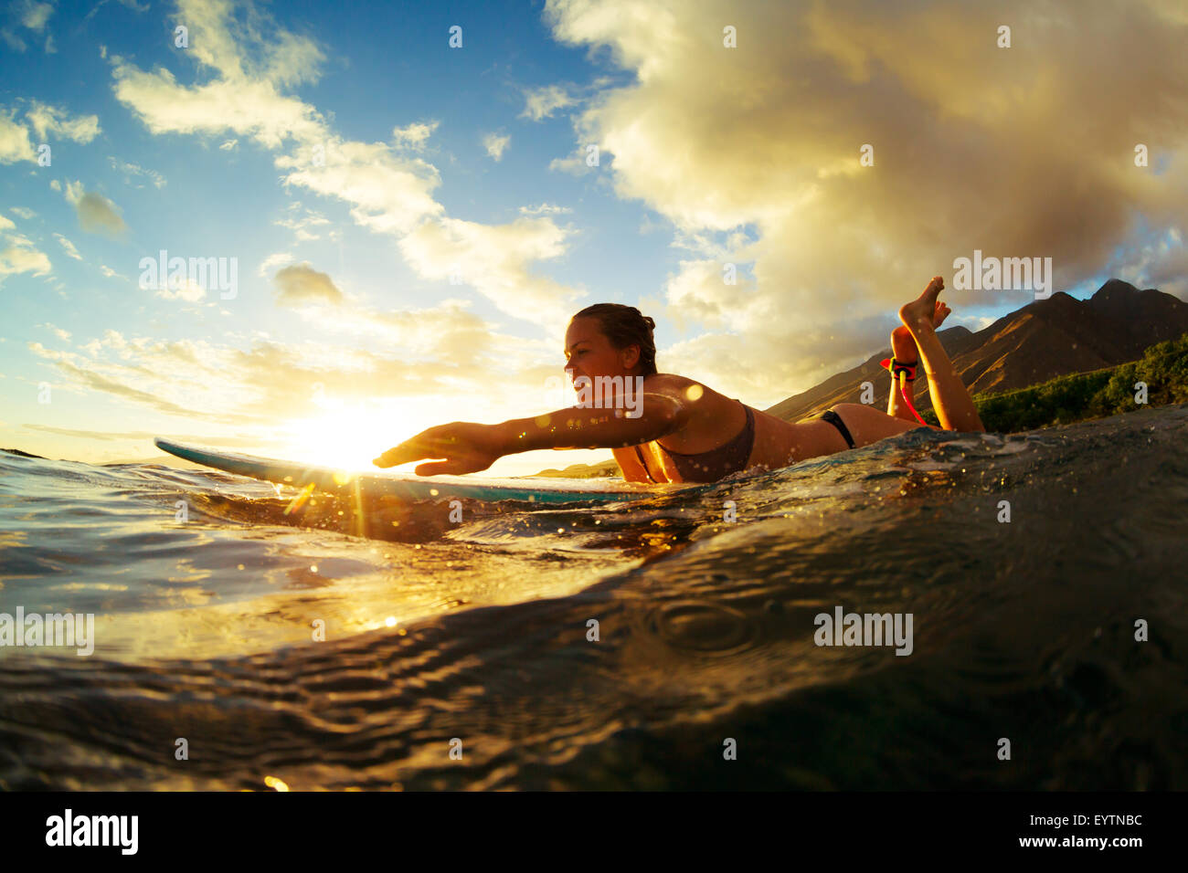 Le surf au coucher du soleil. Mode de vie actif en plein air. Banque D'Images
