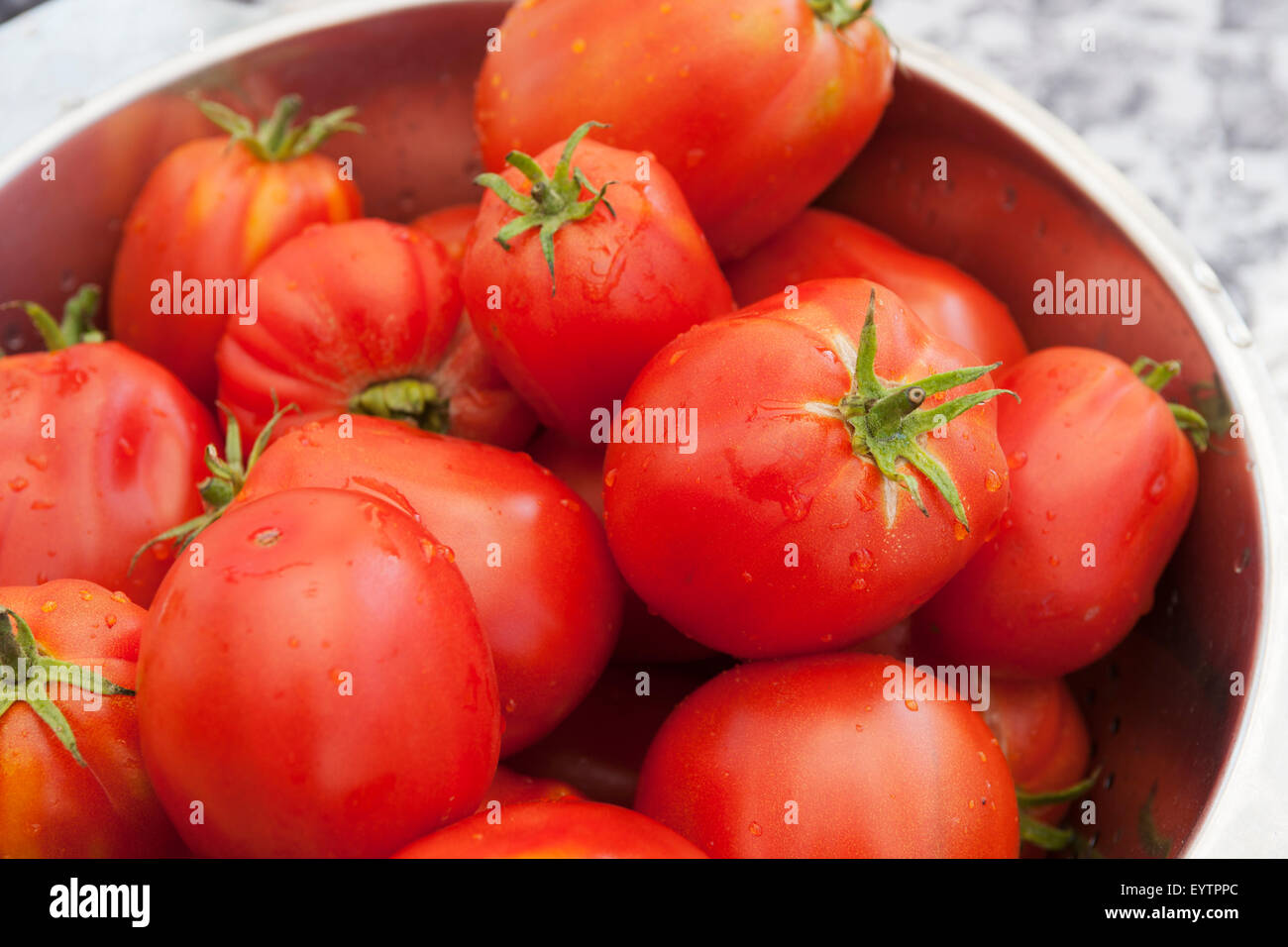 tomates boeuf Banque D'Images