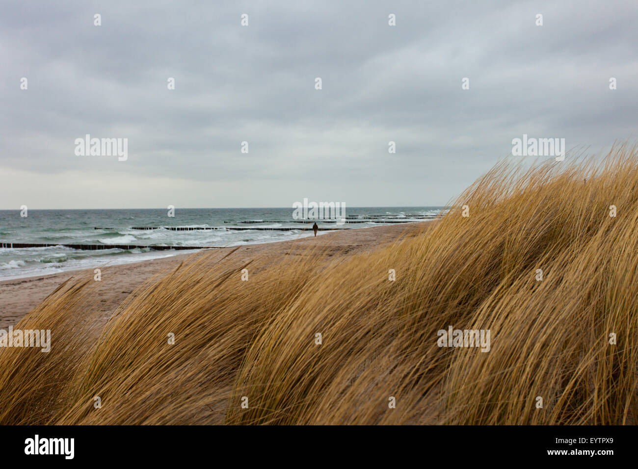 Personne, marche à pied, la plage, le sable, la mer, l'herbe, les vagues, la mer Baltique, l'hiver, Allemagne Banque D'Images
