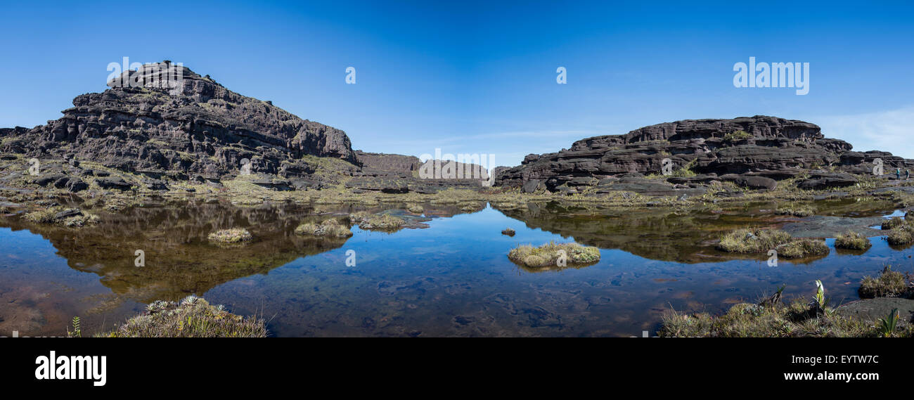 Paysage à la sommet du mont Roraima le matin avec ciel bleu. Des pierres volcaniques noires, l'eau et red plantes endémiques. Banque D'Images