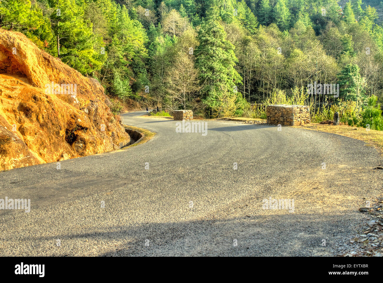 Winding road. étroit et sinueux hill qui passait à travers une forêt au Népal Banque D'Images