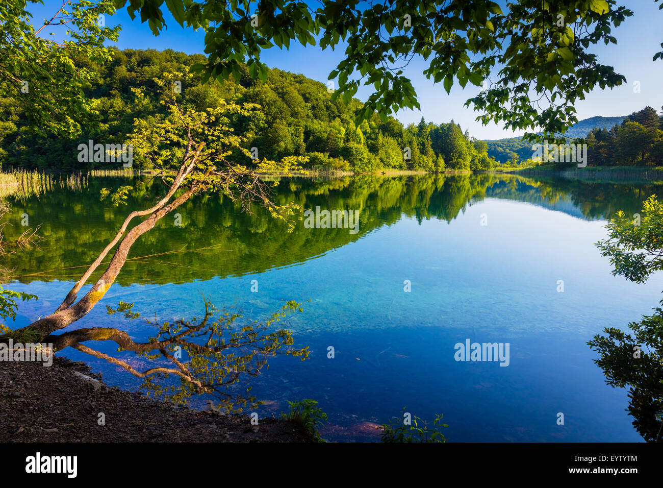 Le parc national des Lacs de Plitvice est l'un des plus anciens parcs nationaux du sud-est de l'Europe et le plus grand parc national en Croatie. Banque D'Images