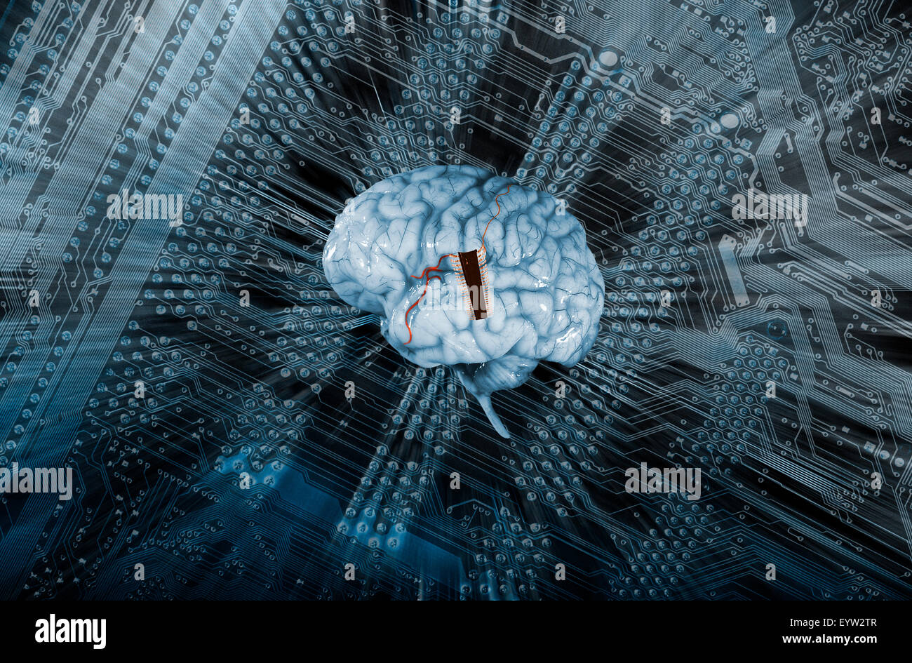 L'intelligence artificielle, le cerveau et l'ordinateur Banque D'Images