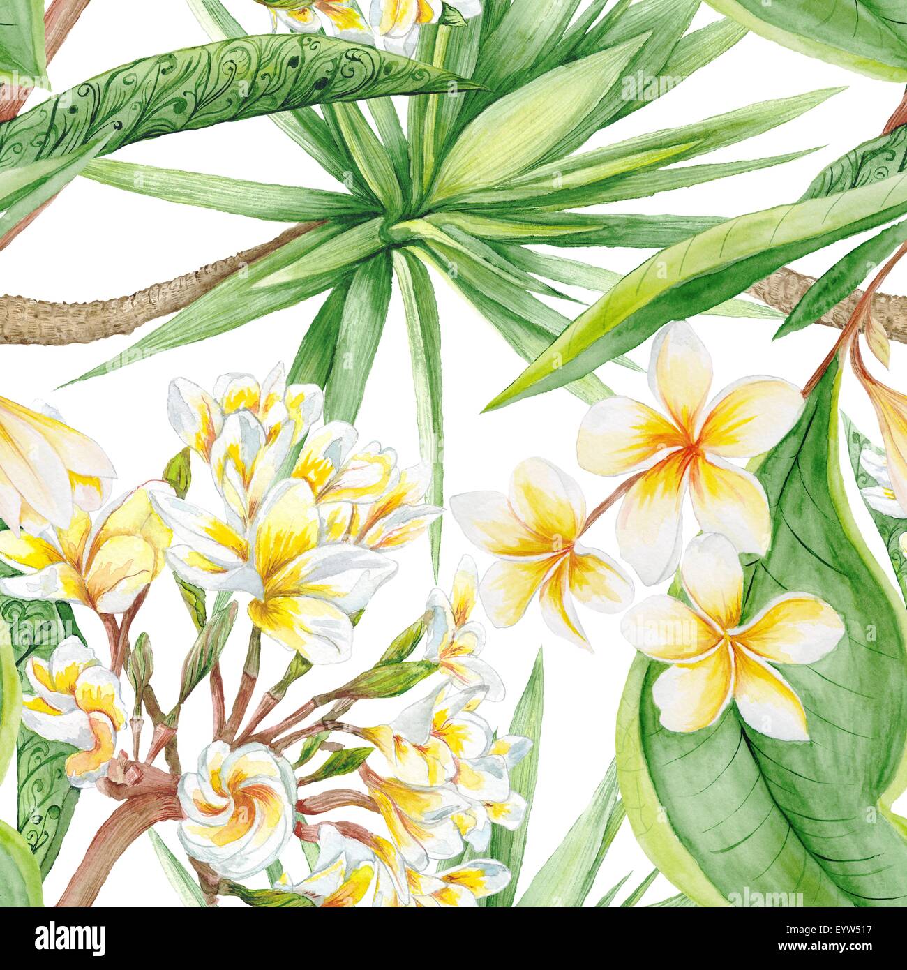 Aquarelle peinte à la main avec l'illustration botanique fleurs plumeria et yucca tree, tuile sans couture Banque D'Images