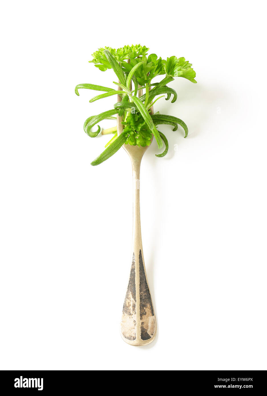 Tiges de fines herbes fraîches sur fourche Banque D'Images