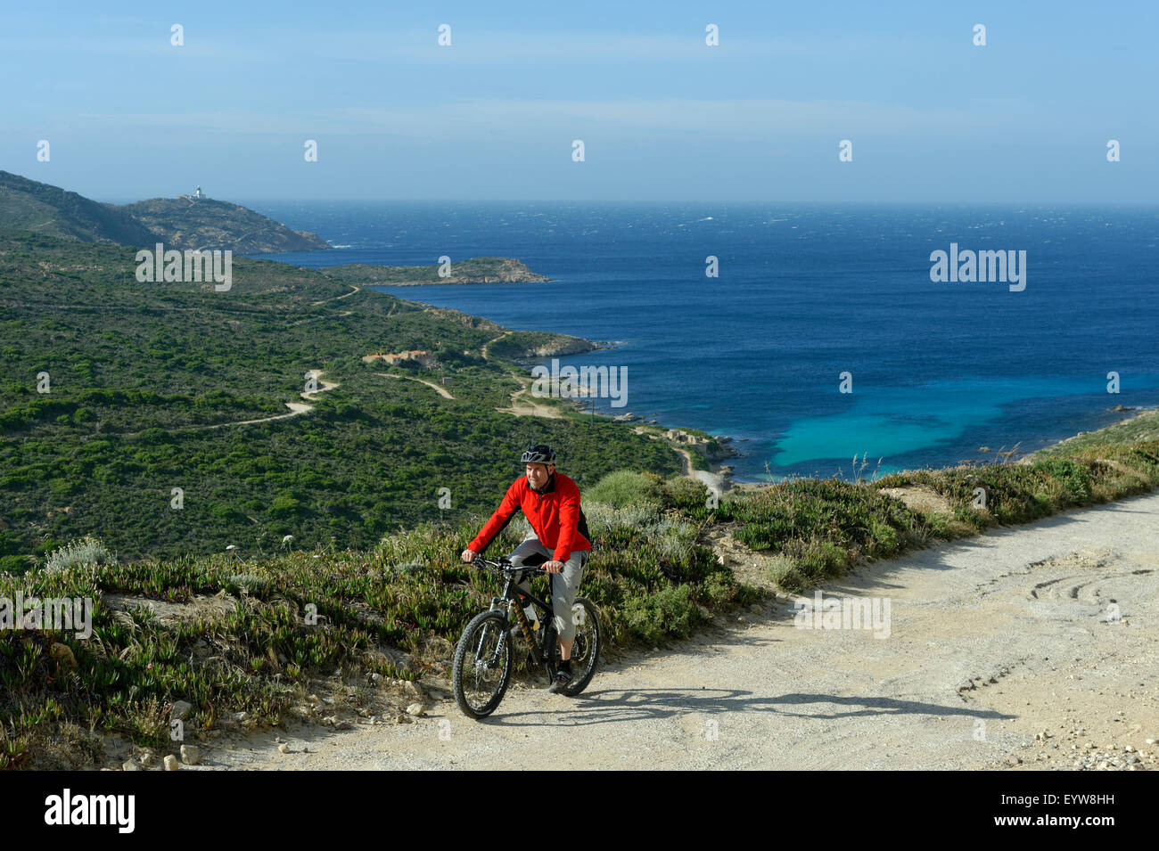 Du vélo de montagne, VTT sur la presqu'île de la Revellata, près de Calvi, Haute-Corse, Corse, France Banque D'Images