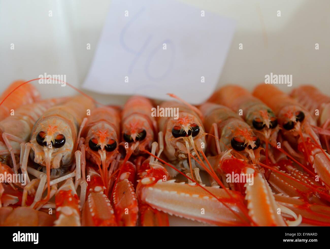 Des crevettes géantes aux yeux noirs sont en vente sur un marché aux poissons Banque D'Images