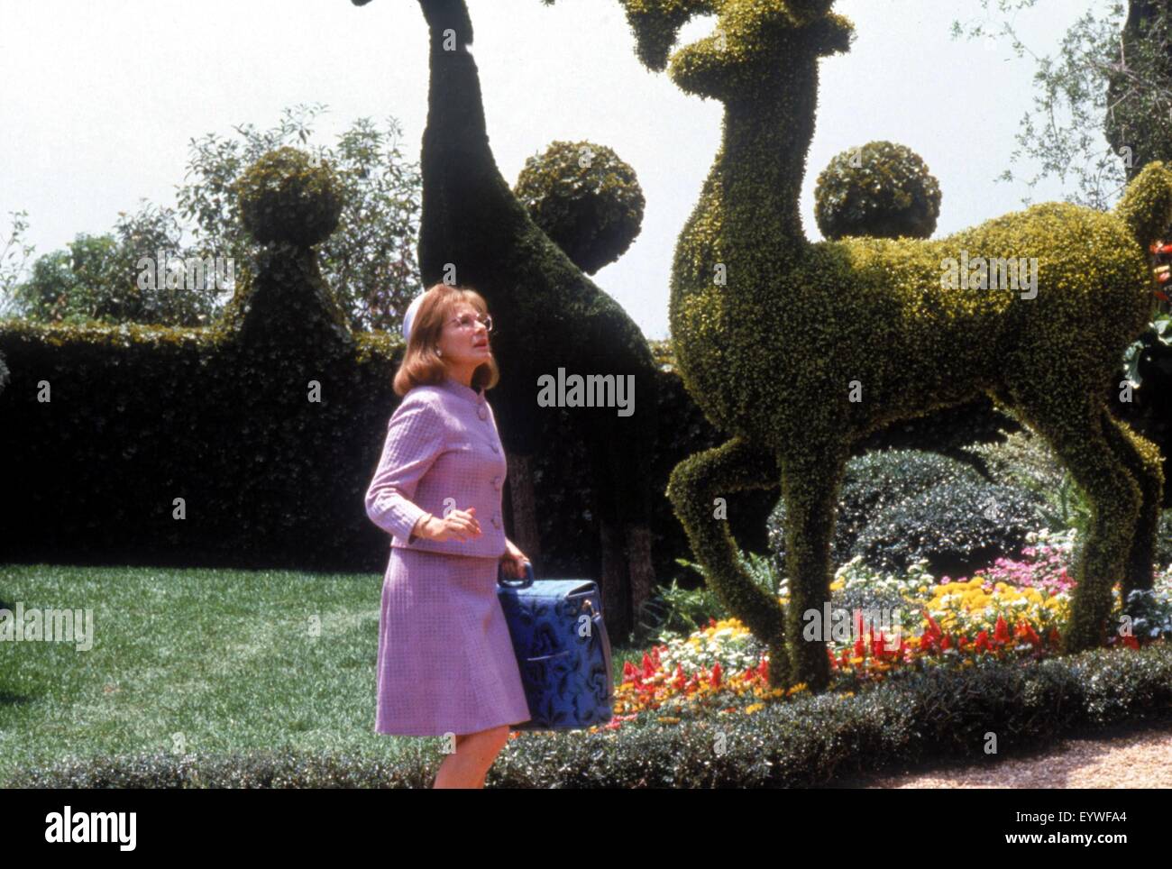 Edward Scissorhands) ; Année : 1990 ; USA Réalisateur : Tim Burton ; Dianne Wiest ; Photo : Zade Rosenthal Banque D'Images